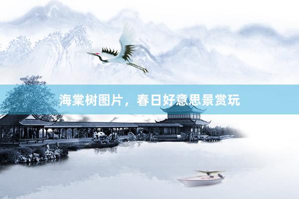海棠树图片，春日好意思景赏玩