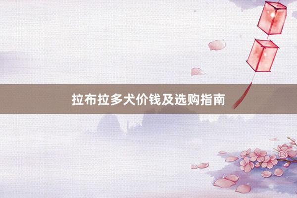 拉布拉多犬价钱及选购指南